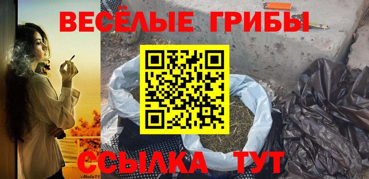 Псилоцибиновые грибы Magic Shrooms  Галлюциногенные грибы Cubensis  Вятские Поляны  Вход с VPN 